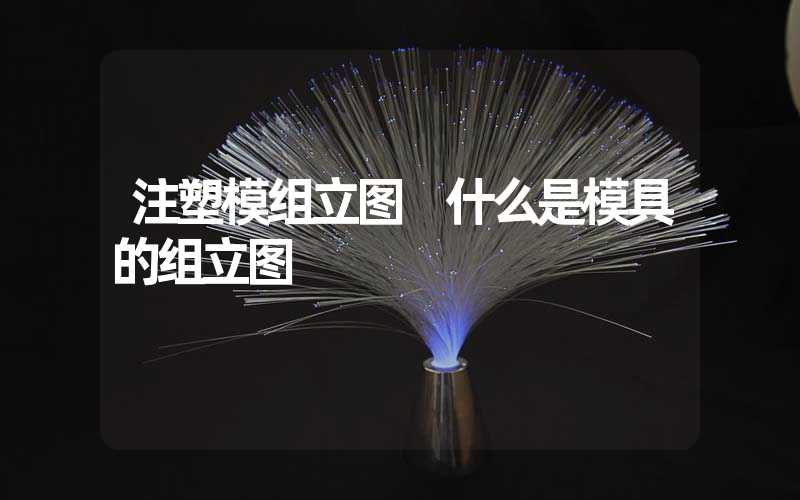 注塑模组立图 什么是模具的组立图